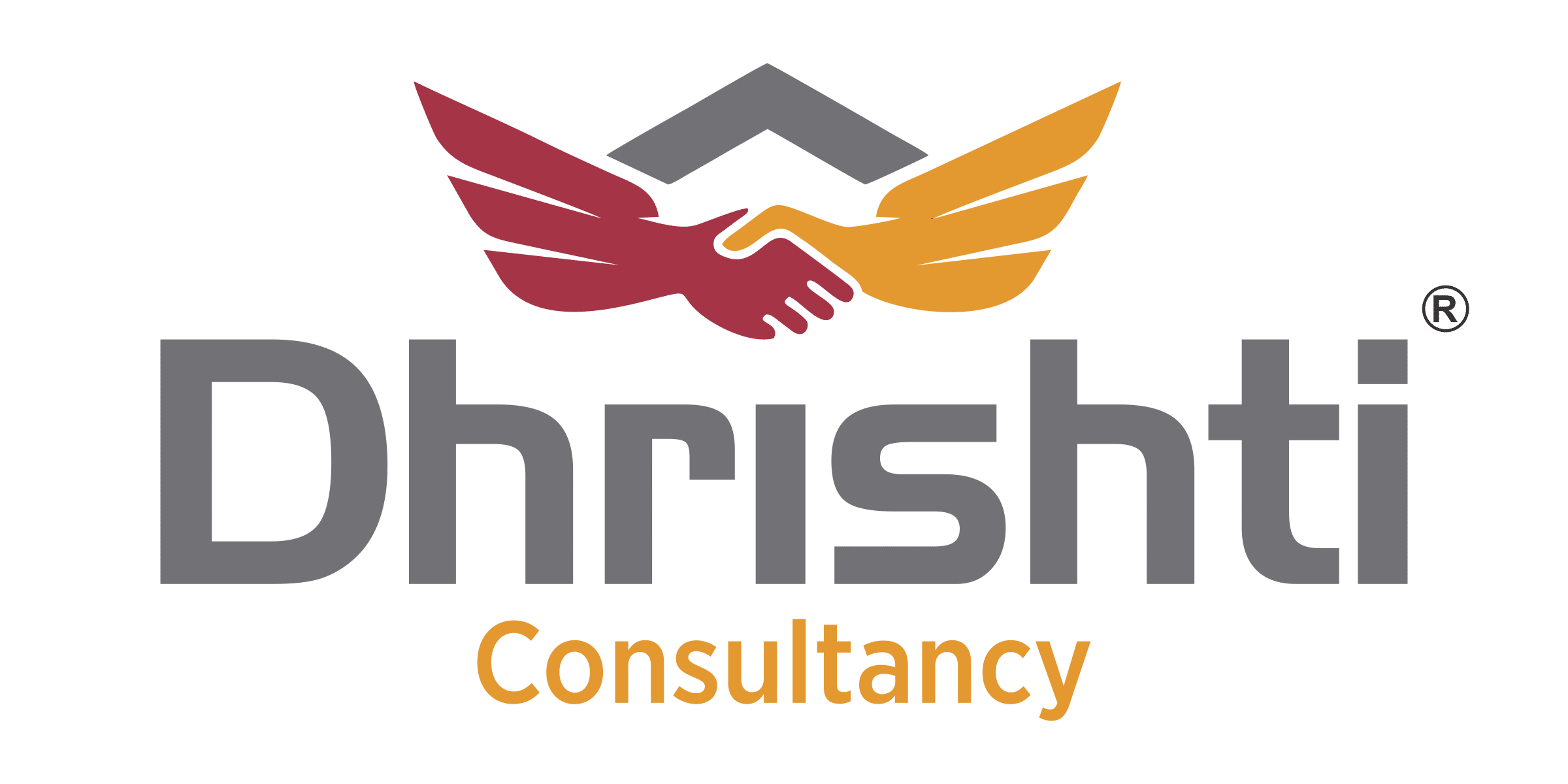 Dhrishti Consultancy Logo